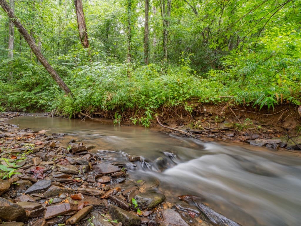 Lot 157 Roaring Forks Lane, Ellijay GA 30540 - Photo