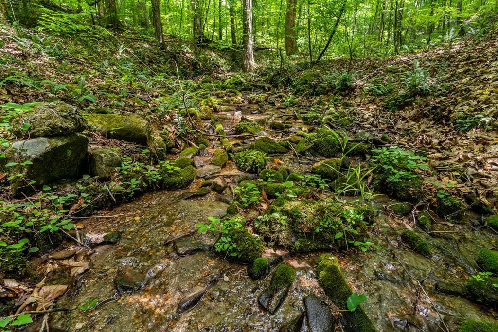 8954 Doublehead Gap Road, Blue Ridge GA 30513 - Photo