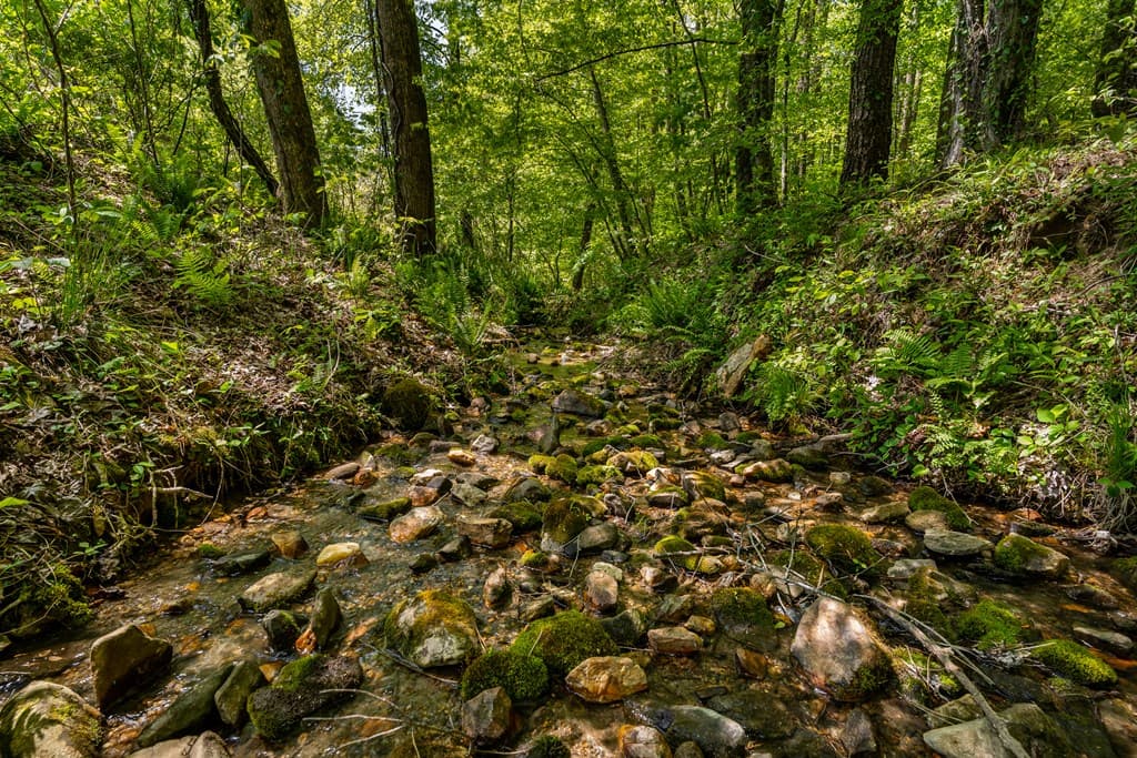 8954 Doublehead Gap Road, Blue Ridge GA 30513 - Photo