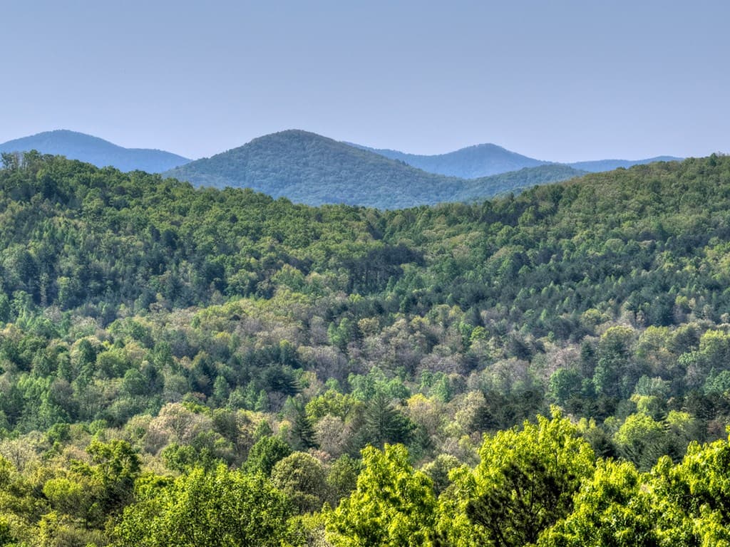 769 Voylestown Road, Morganton GA 30560 - Photo