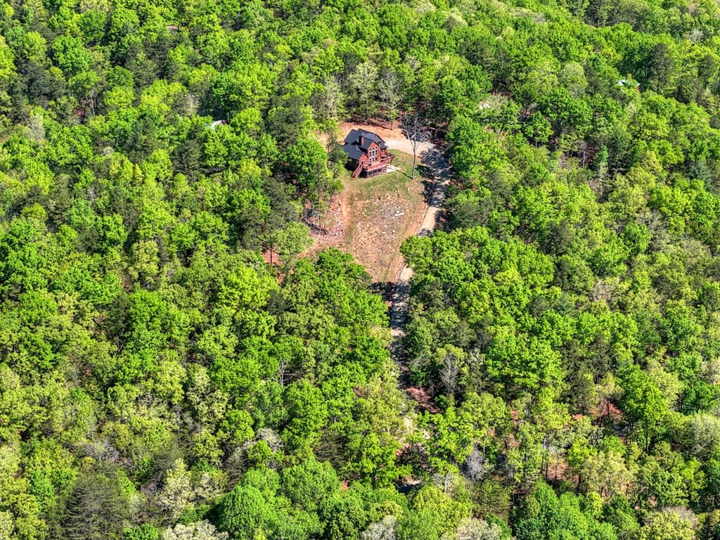 769 Voylestown Road, Morganton GA 30560 - Photo