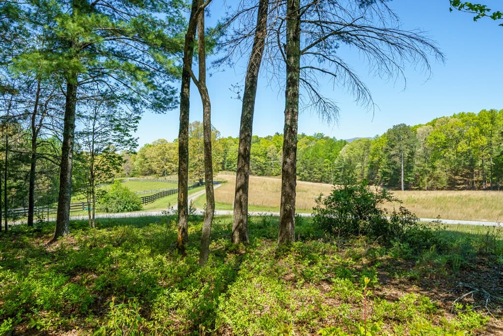 Lot 3 Spring Camp Road, Ellijay GA 30536 - Photo