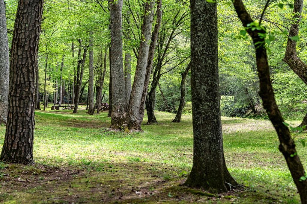 Lot 3 Spring Camp Road, Ellijay GA 30536 - Photo