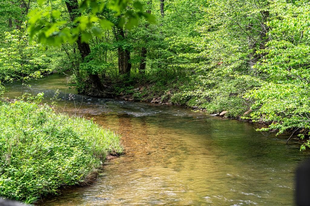 Lot 3 Spring Camp Road, Ellijay GA 30536 - Photo