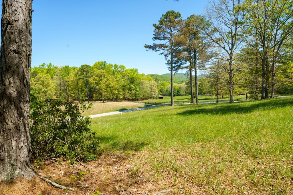 Lot 3 Spring Camp Road, Ellijay GA 30536 - Photo