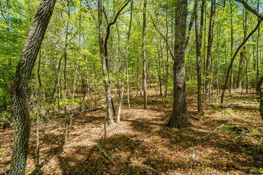 Lot 35 Spring Camp Road, Ellijay GA 30536 - Photo