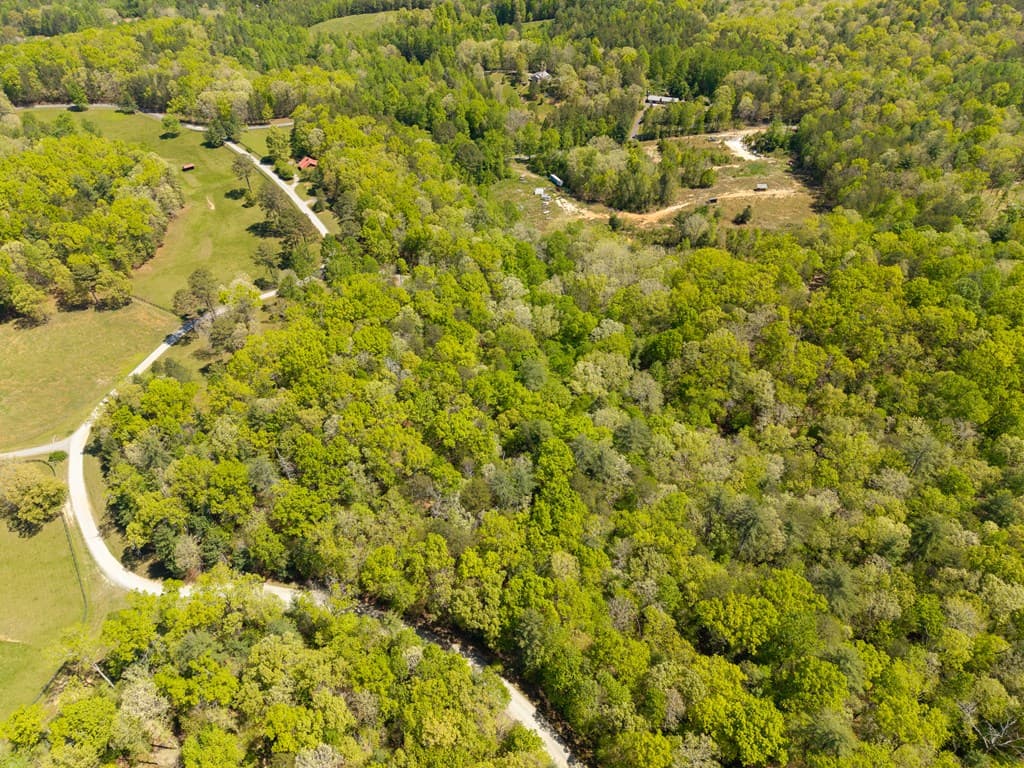 Lot 35 Spring Camp Road, Ellijay GA 30536 - Photo