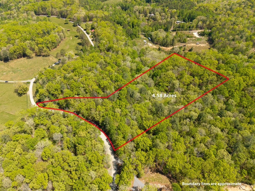 Lot 35 Spring Camp Road, Ellijay GA 30536 - Photo