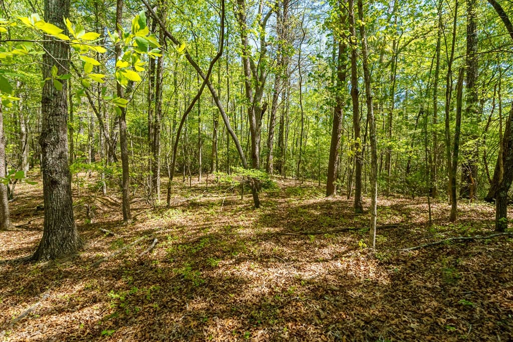 Lot 35 Spring Camp Road, Ellijay GA 30536 - Photo