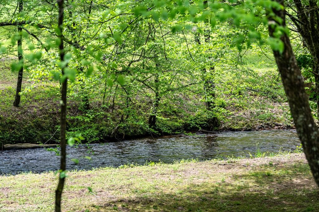 Lot 35 Spring Camp Road, Ellijay GA 30536 - Photo