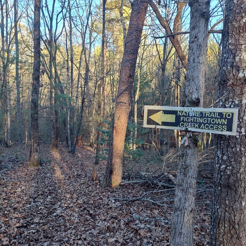 38 Sweetwater Trail, Epworth GA 30541 - Photo