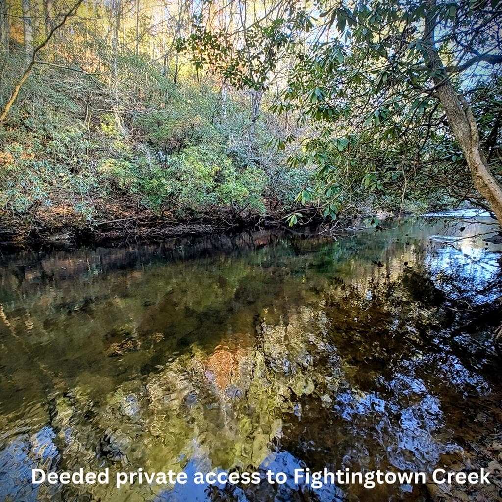 38 Sweetwater Trail, Epworth GA 30541 - Photo
