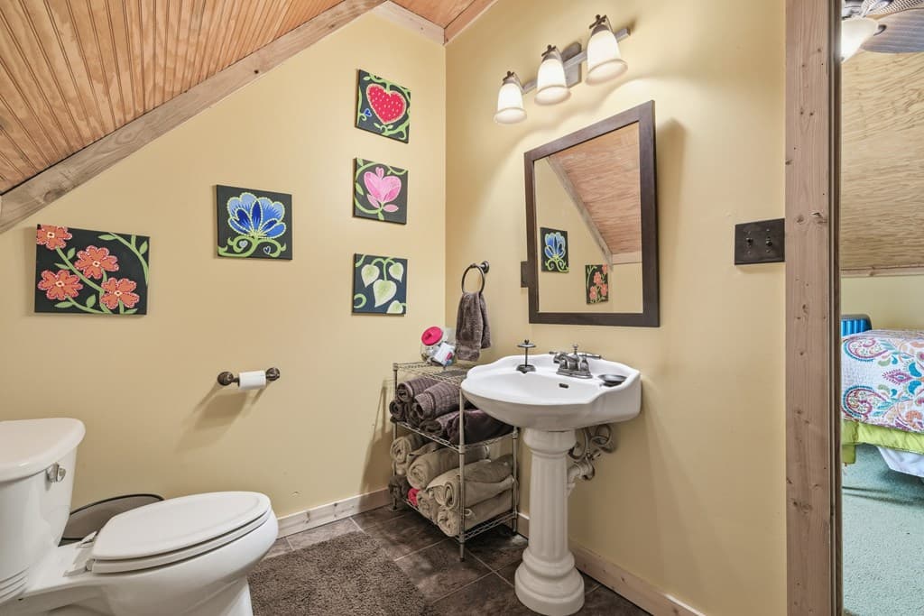 955 Mull Drive, Mineral Bluff GA 30559 - Photo