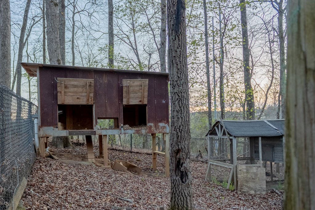 141 Chambers Mtn, Mineral Bluff GA 30559 - Photo