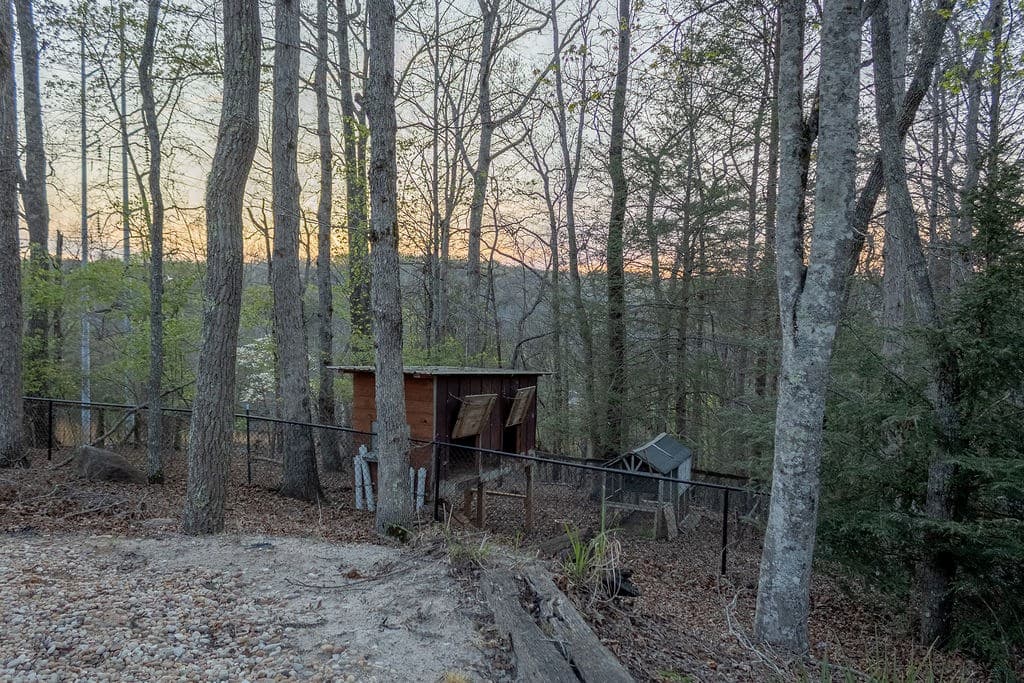 141 Chambers Mtn, Mineral Bluff GA 30559 - Photo