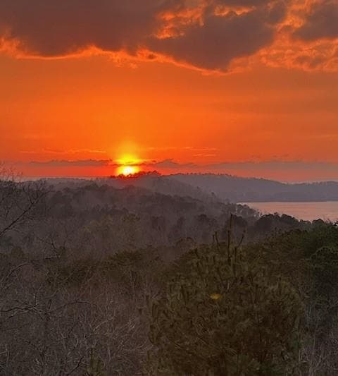 56 Carters View Lane, Ellijay GA 30540 - Photo
