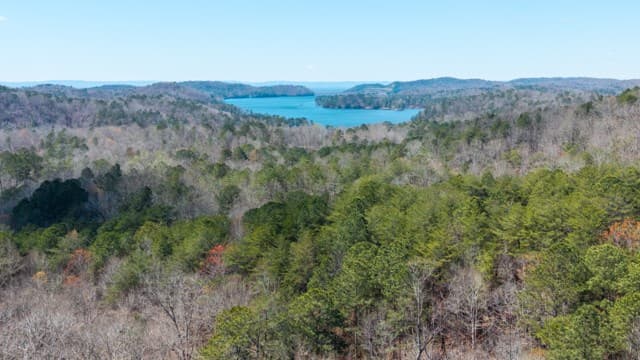 56 Carters View Lane, Ellijay GA 30540 - Photo