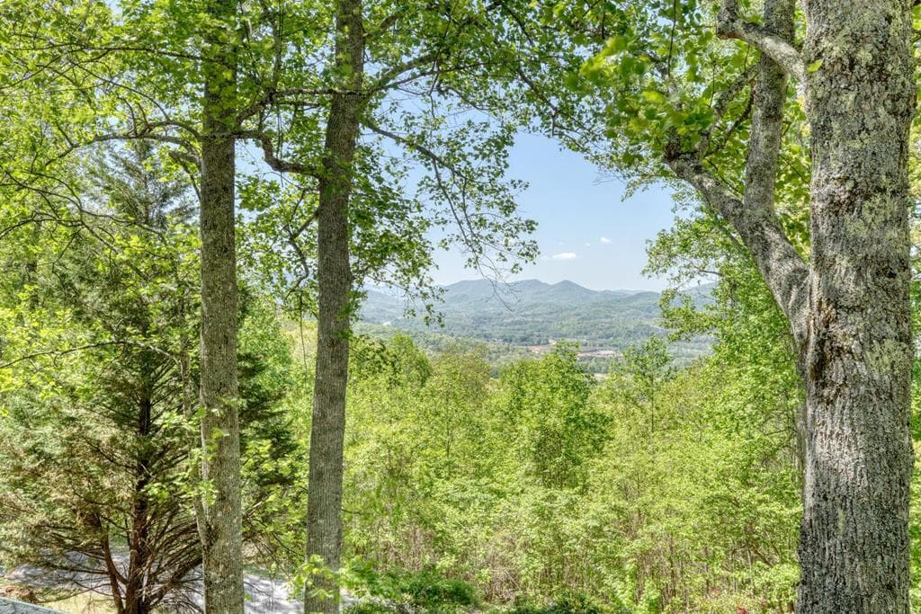 980 Mining Gap Trail, Young Harris GA 30582 - Photo