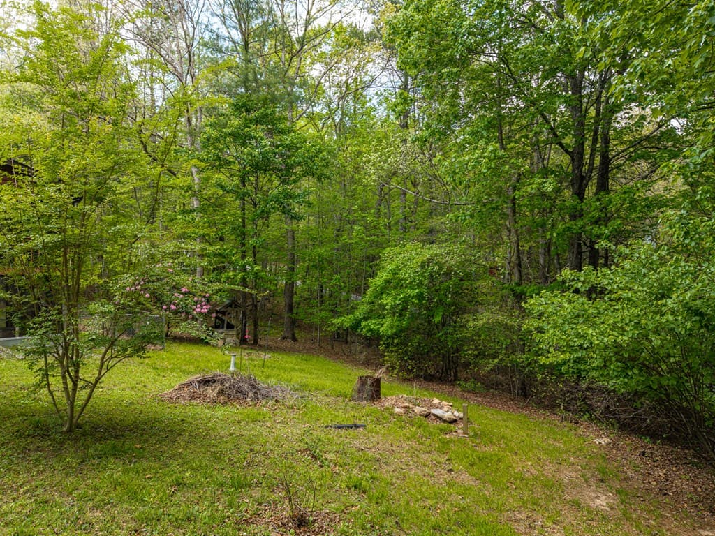 128 Carroll Road, Blairsville GA 30512 - Photo