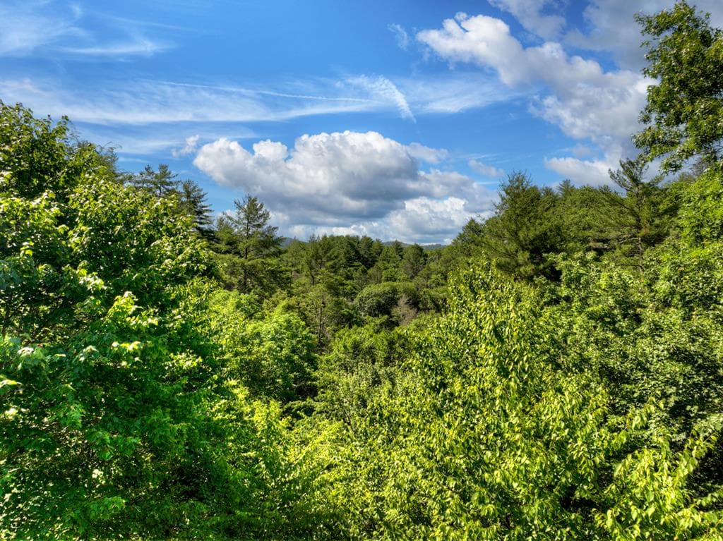 260 Down Under Road, Blue Ridge GA 30513 - Photo
