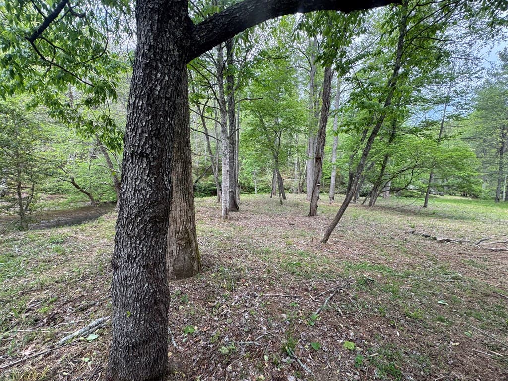 Lot 5 Double Creek Drive, Suches GA 30572 - Photo