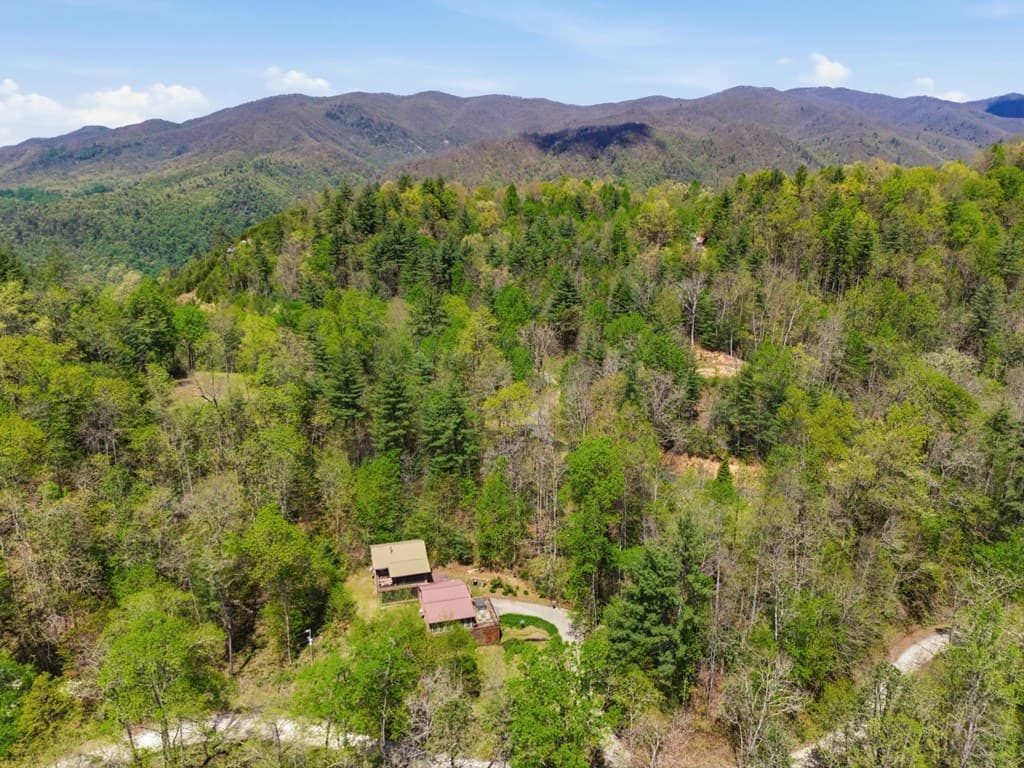 4541 Winding Stairs Road, Topton NC 28781 - Photo