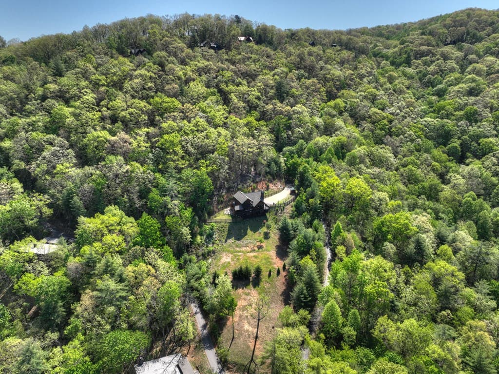 459 Quail Ridge Road, Blue Ridge GA 30513 - Photo
