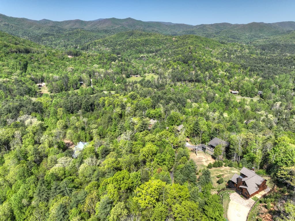 459 Quail Ridge Road, Blue Ridge GA 30513 - Photo