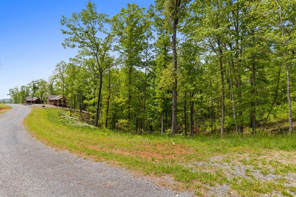 Lot 39 Jakes Landing Way, Ellijay GA 30540 - Photo