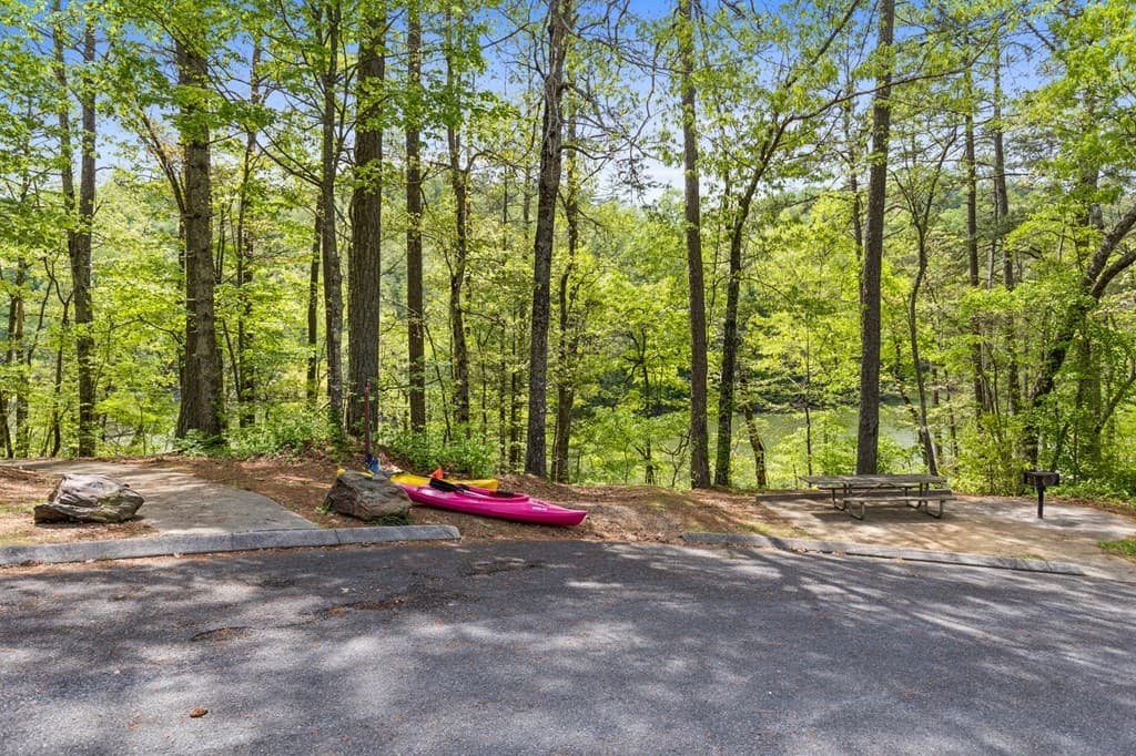 Lot 39 Jakes Landing Way, Ellijay GA 30540 - Photo