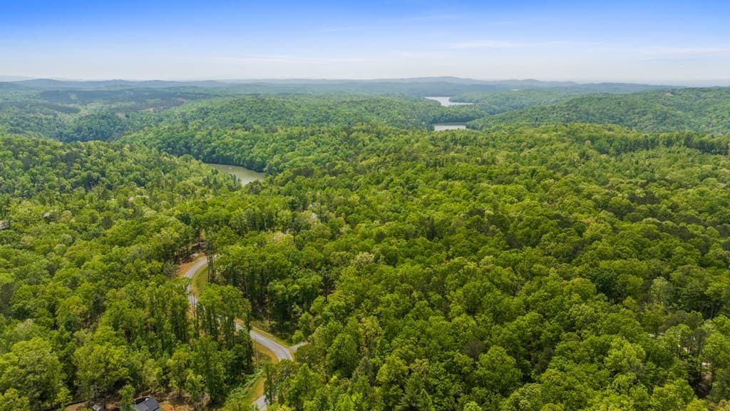 Lot 39 Jakes Landing Way, Ellijay GA 30540 - Photo