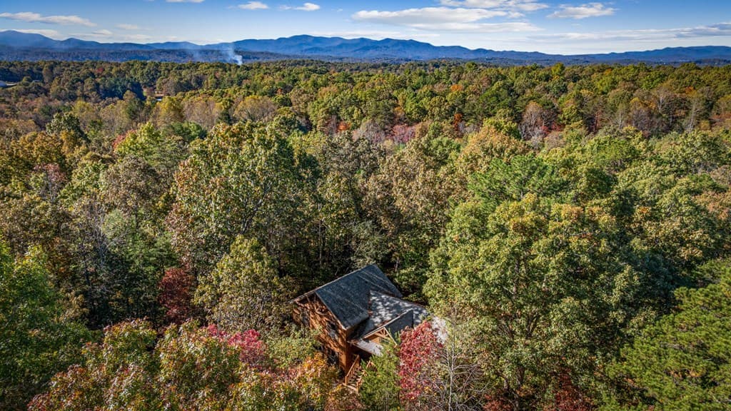 196 Ethan Wilson Way, Morganton GA 30560 - Photo
