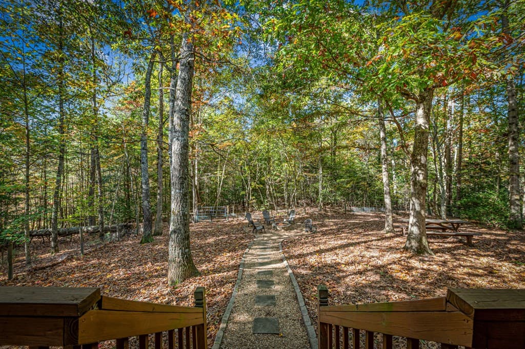 196 Ethan Wilson Way, Morganton GA 30560 - Photo