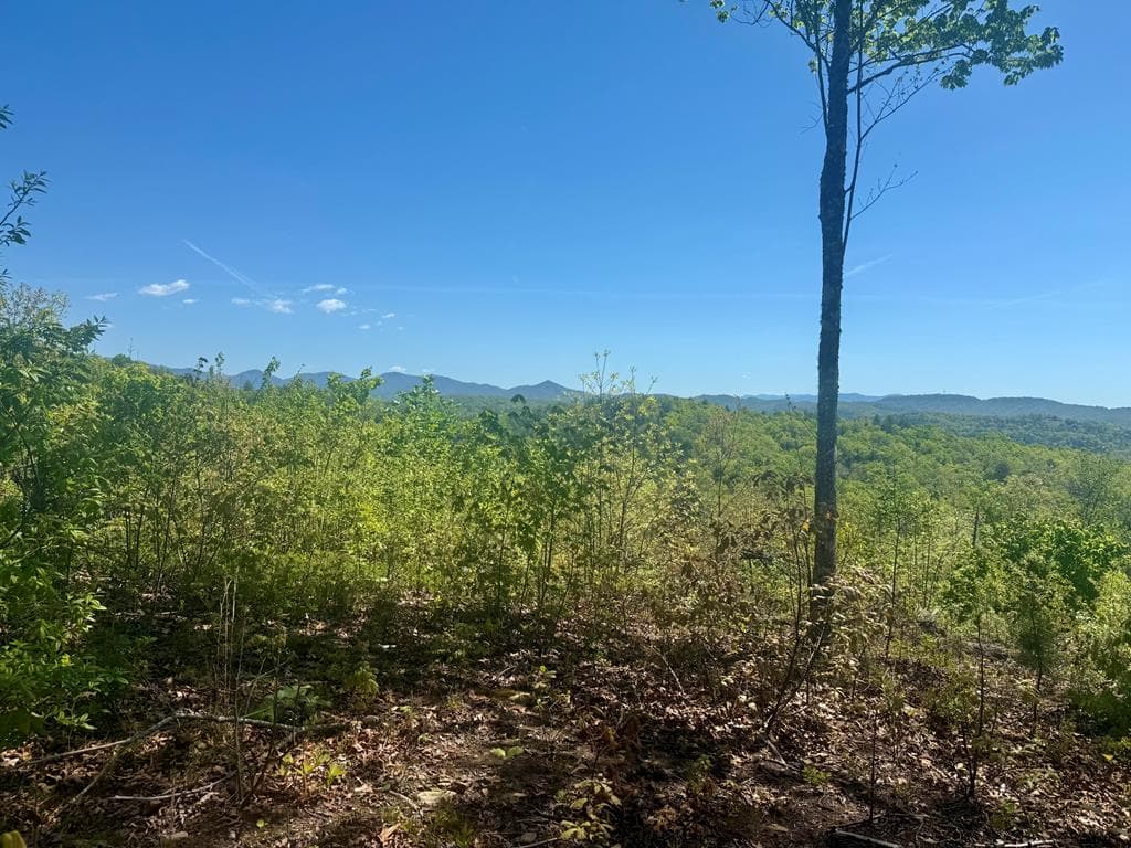 0 Wayah Ridge, Murphy NC 28906 - Primary photo