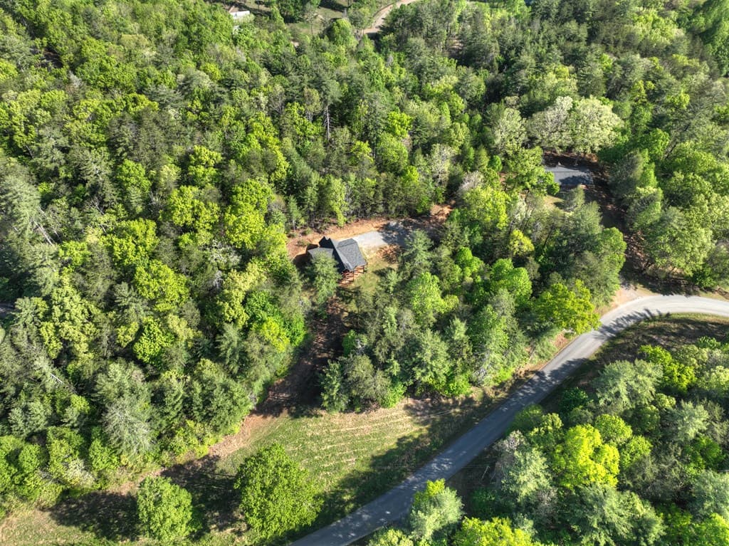 1186 Ritchie Creek Road, Blue Ridge GA 30513 - Photo