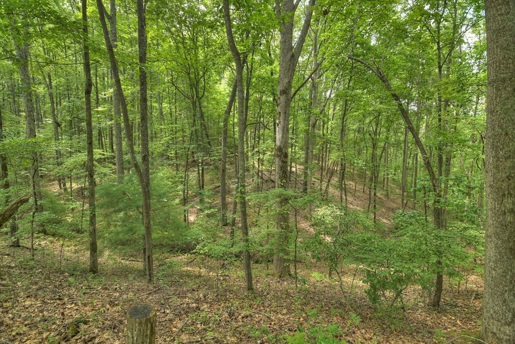7.89 AC Laurel Springs Road, Mineral Bluff GA 30559 - Photo
