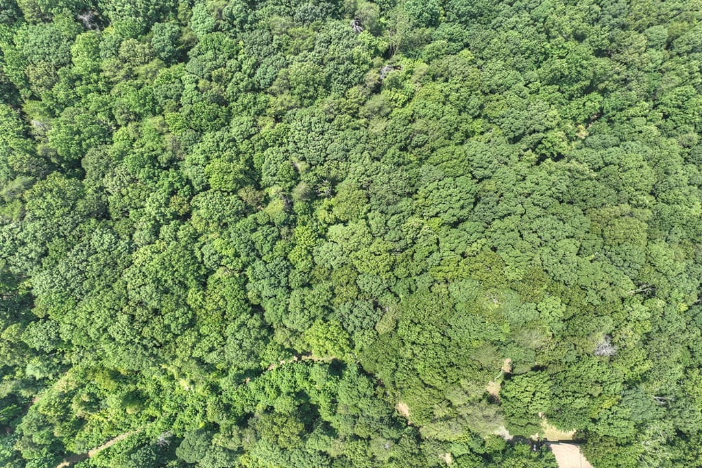 7.89 AC Laurel Springs Road, Mineral Bluff GA 30559 - Photo