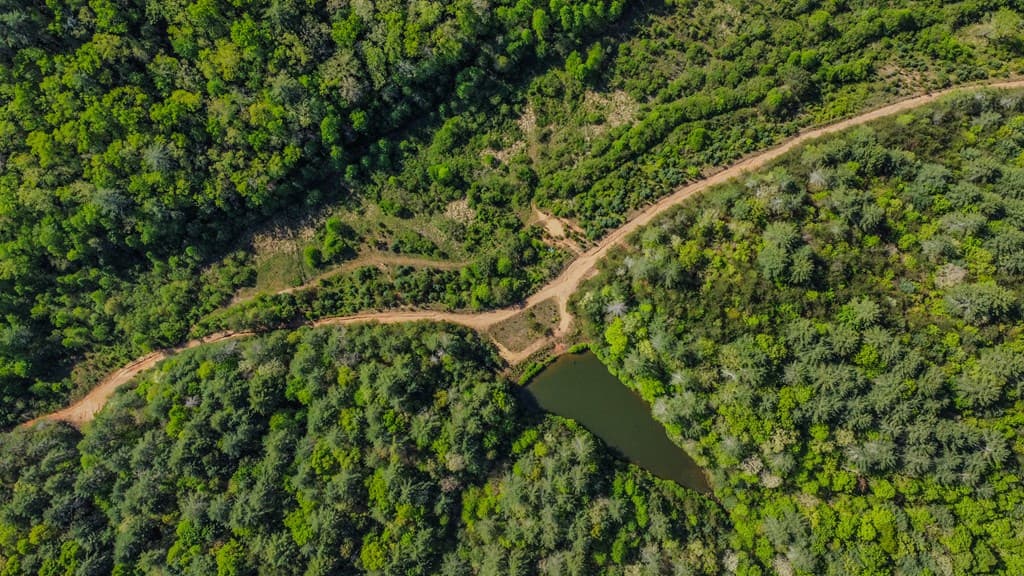 80 Acres Valley Lake Road, Mineral Bluff GA 30559 - Photo