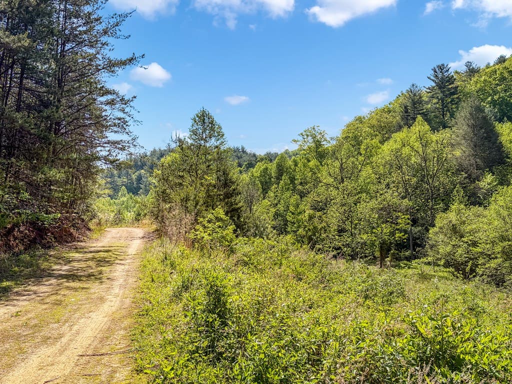 80 Acres Valley Lake Road, Mineral Bluff GA 30559 - Photo
