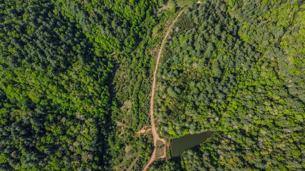 80 Acres Valley Lake Road, Mineral Bluff GA 30559 - Photo