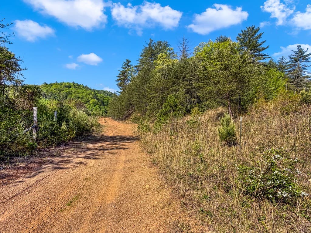 80 Acres Valley Lake Road, Mineral Bluff GA 30559 - Photo