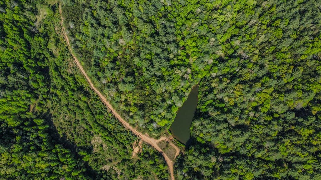 80 Acres Valley Lake Road, Mineral Bluff GA 30559 - Photo