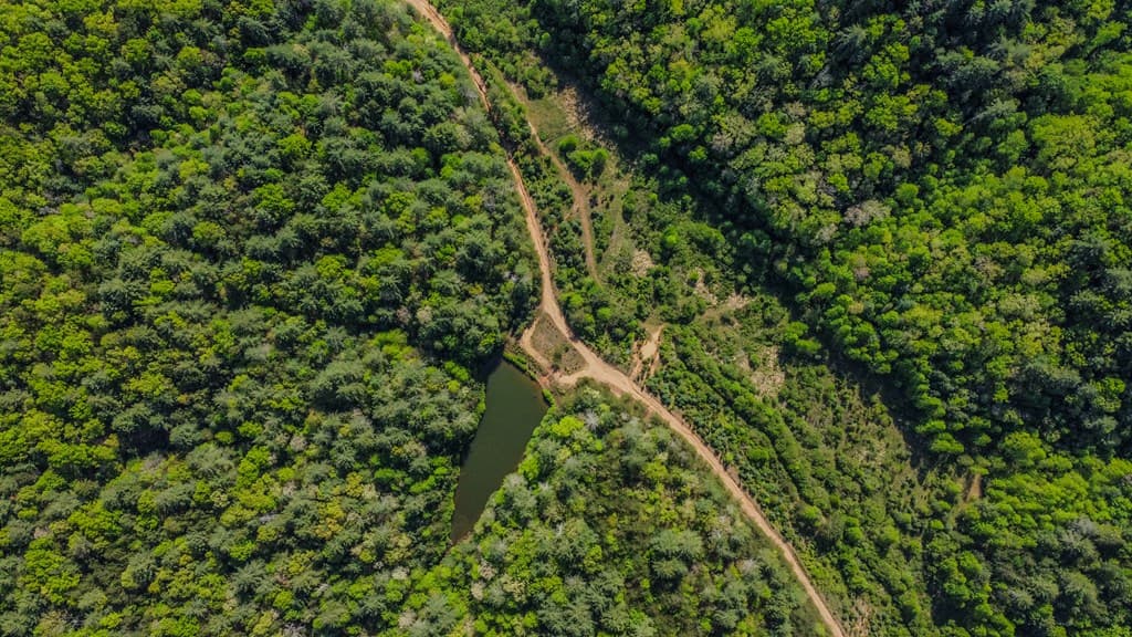 80 Acres Valley Lake Road, Mineral Bluff GA 30559 - Photo
