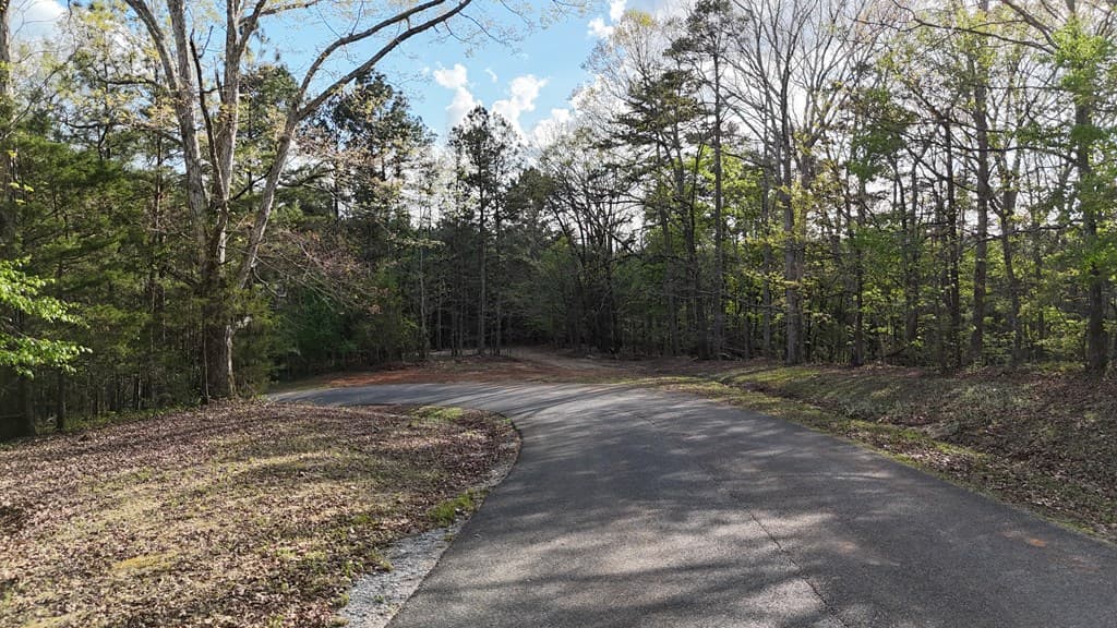Lot 1 Chalcrest Way, Cave Spring GA 30124 - Photo