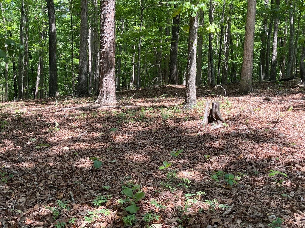 Lot 1 Chalcrest Way, Cave Spring GA 30124 - Photo