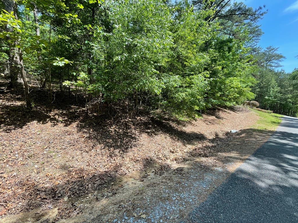 Lot 1 Chalcrest Way, Cave Spring GA 30124 - Photo