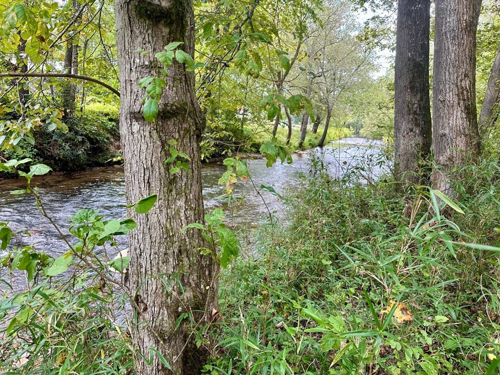 TBD Creekfront Lane, Hayesville NC 28904 - Photo