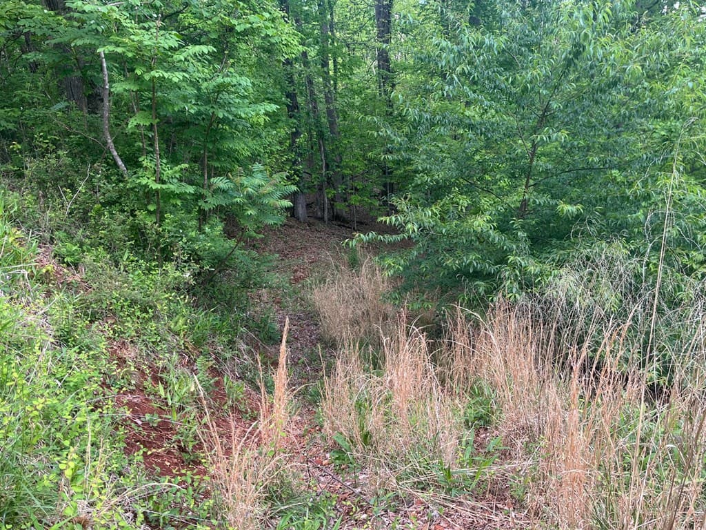 Lot 10 Summit Trail, Hiawassee GA 30546 - Photo