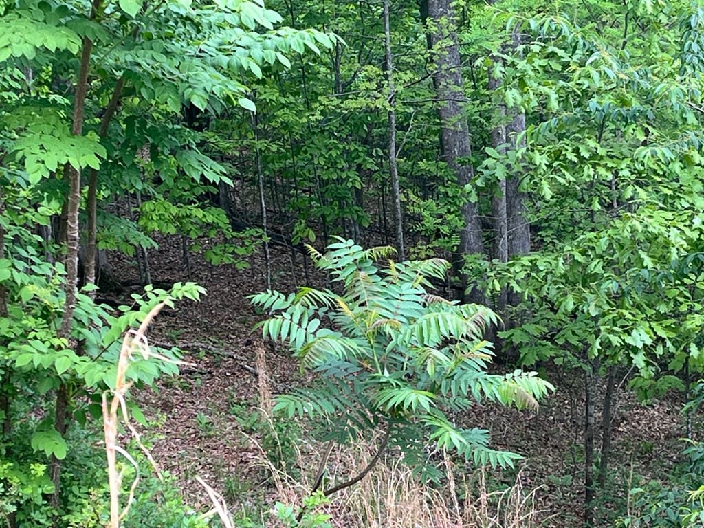 Lot 10 Summit Trail, Hiawassee GA 30546 - Photo