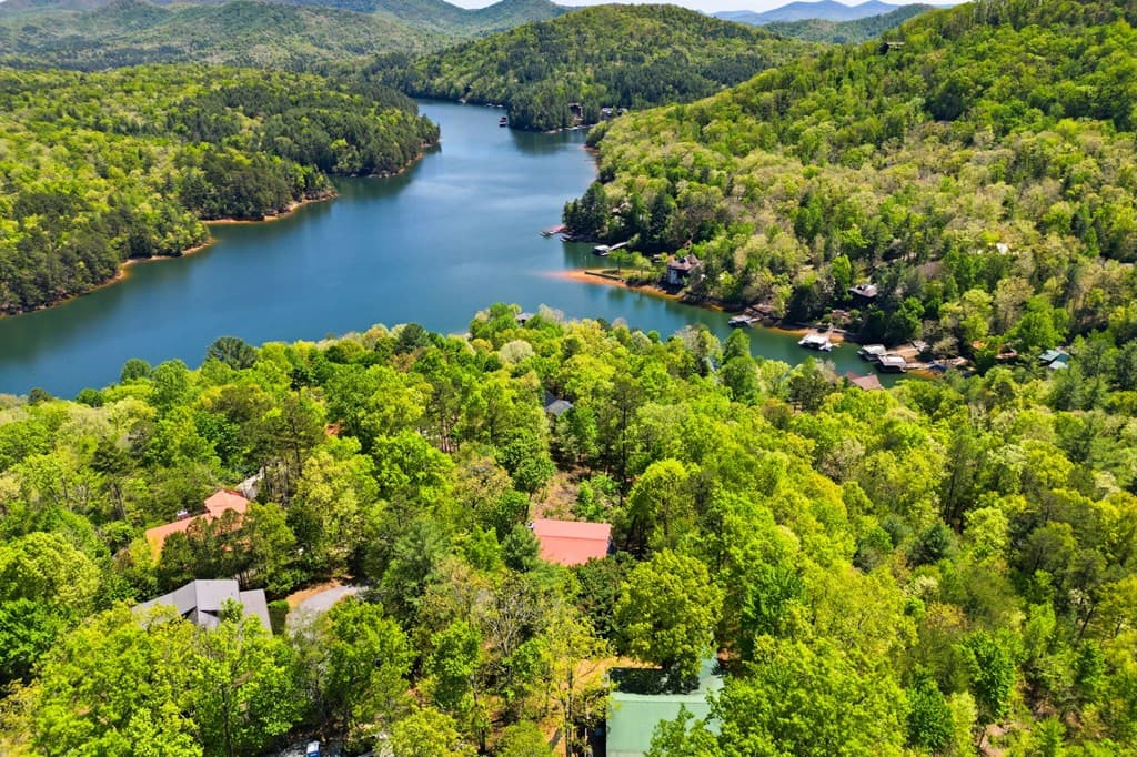 287 Necowa Cove Overlook, Blue Ridge GA 30513 - Photo